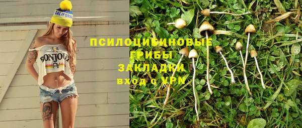 а пвп мука Абаза