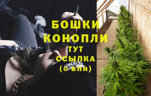 a pvp Пересвет