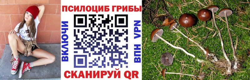 Галлюциногенные грибы Magic Shrooms  Никольск 